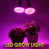 Plant Light LED Countertop Clamp Light Full Spectrum Plant Fill Light Indoor Nursery Succulent