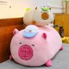 Chubby Kapibara Capybara Doll Plush Toy Pillow Ragdoll Doll Exchange