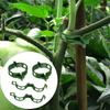 Plastic Plant Support Clips,Plastic Clips for Securing Plants,Tomato Vine Clips,Plant Fixing Clips,Garden Clips for Climbing
