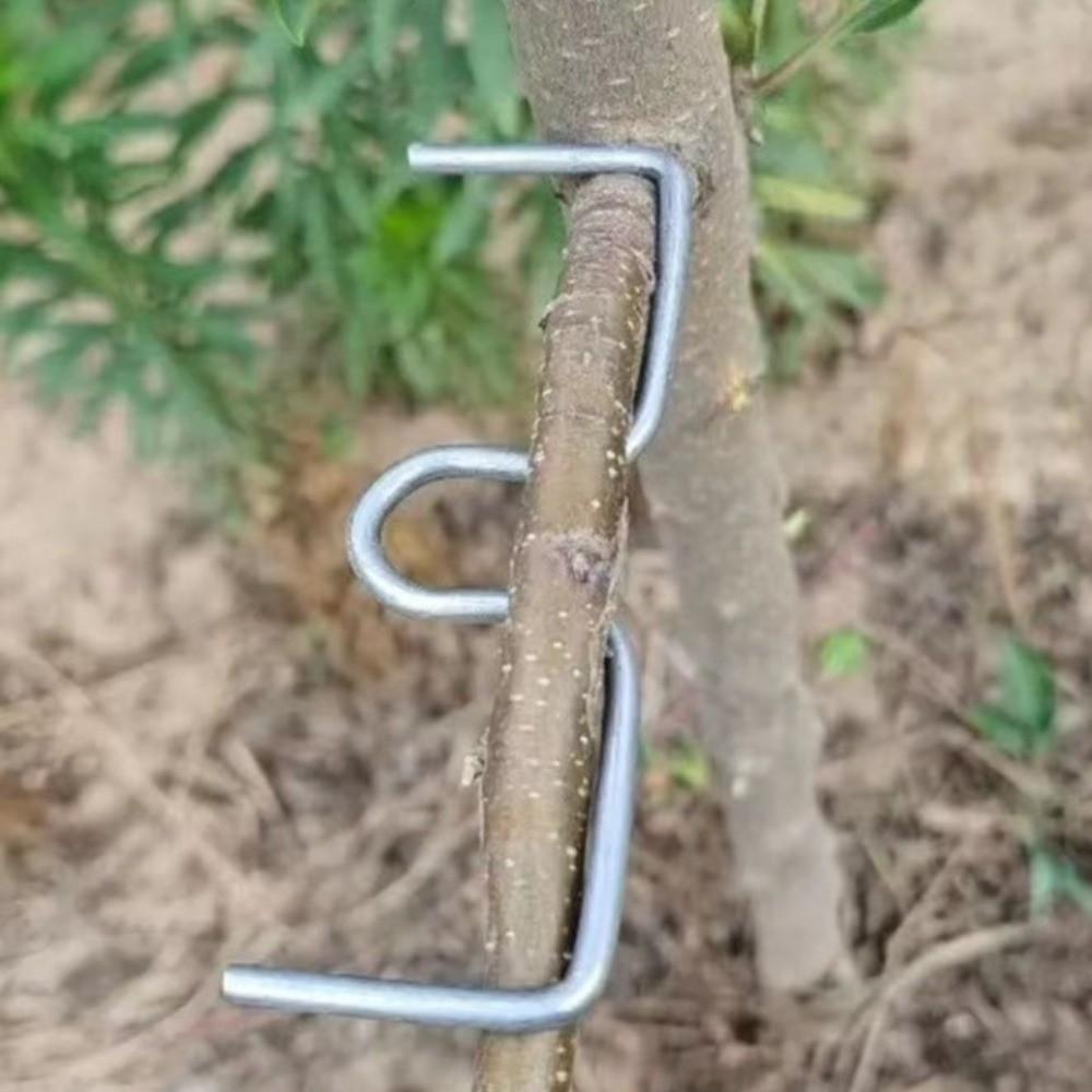 10Pcs M-Shaped Fruit Tree Branch Puller Shape Fixator Metal Branch Bending Tools Heavy-Duty Branch Bends Plant Support Tool