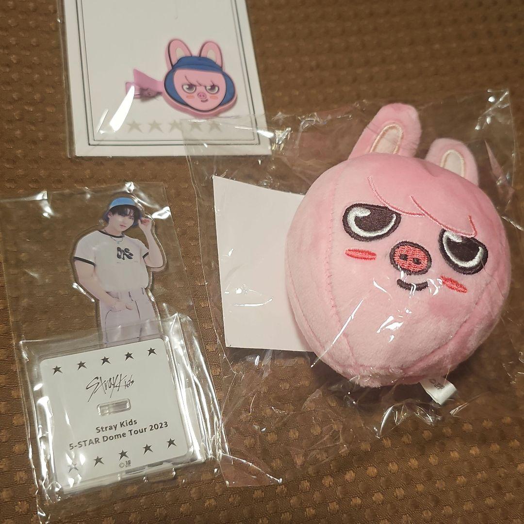 

[USED] straykids skiz changbin
