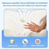 Pulatree Butterfly Odorless Memory Foam Bed Pillow Orthopedic Cervical Pillow For Neck Pain Relief