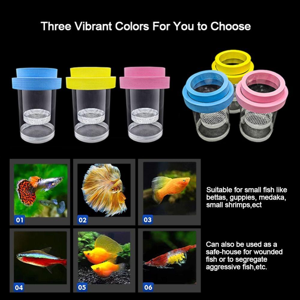 Plastic Mesh Floating Fish Breeding Isolation Box Fish Hatchery Incubator Breeder Box Fish Tank