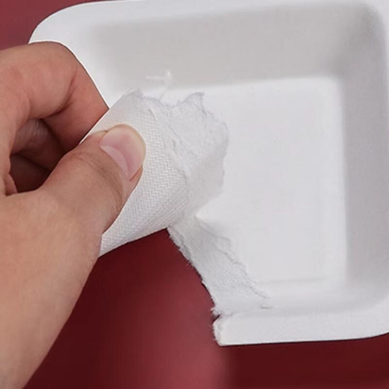 Sanbila Disposable Sugarcane Pulp Plates