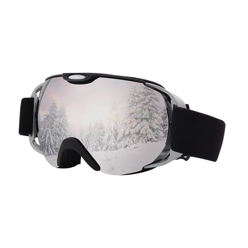 Adult Double-Layer Anti-Fog Ski Goggles