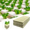 100PCS/50PCS 40mm/30mm Stonewool Hydroponic Grow Media Cubes Plant Cubes Soilless Substrate Seeded Rock Wool Plug Seedling Block