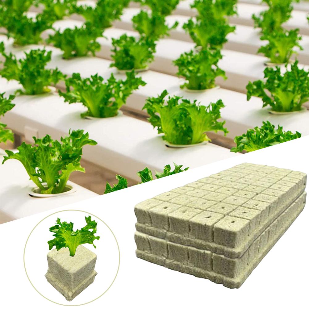 100PCS/50PCS 40mm/30mm Stonewool Hydroponic Grow Media Cubes Plant Cubes Soilless Substrate Seeded Rock Wool Plug Seedling Block