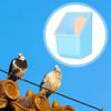 Pigeon Feeder Large Capacity Food Feeder Hanging Box Dove Bird Feeding Case for Cockatiels Ducks Parakeet Canaries Budgie