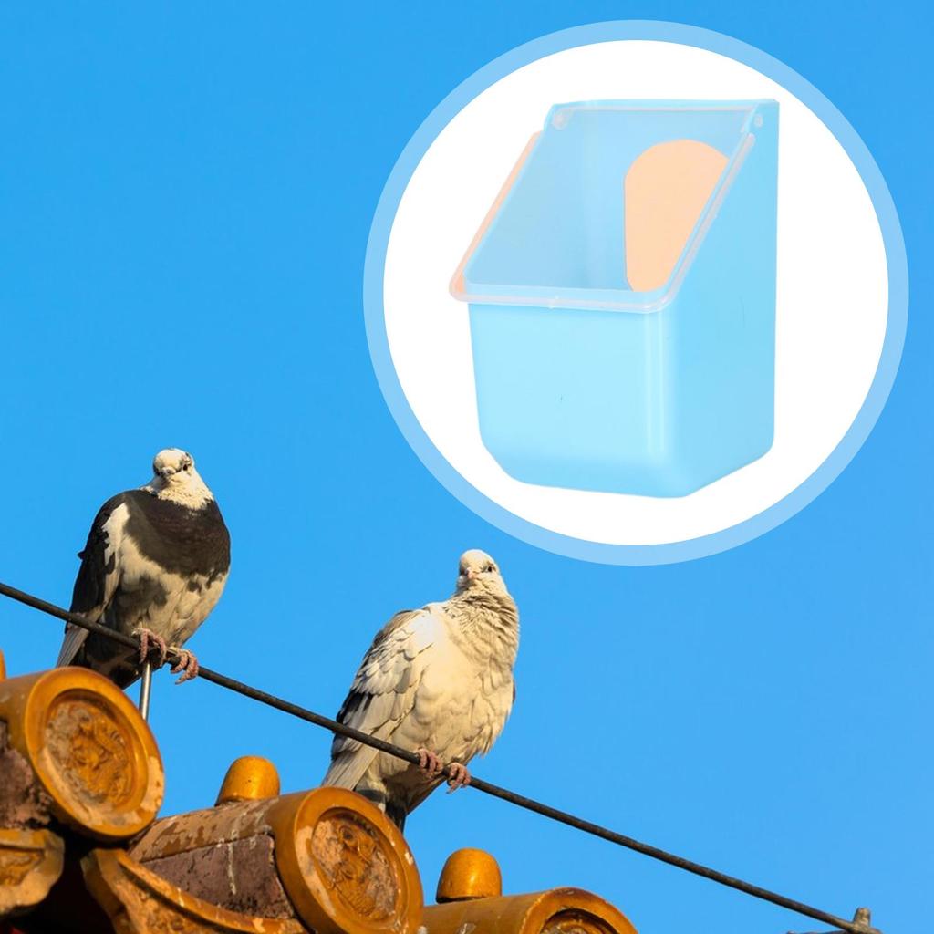 Pigeon Feeder Large Capacity Food Feeder Hanging Box Dove Bird Feeding Case for Cockatiels Ducks Parakeet Canaries Budgie