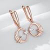 Shiny Natural Zircon Birdie Long Drop Earring For Women Fashion  Rose Gold Color High Quality Daily Fine Jewelry