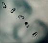 CD PETER GABRIEL  Up PGCD11180030000 Real World Reco 2010 US Pop Used
