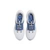 Nike Air Zoom Pegasus 40 Kentucky Men Sneakers White Team-Royal Wolf-Grey DZ5986-100