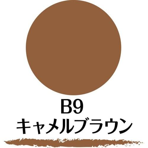 SANA New Born W Brow EX B9 Powder & Pencil & Brush 3-function Eyebrow Camel Brown 1 Piece (x 1)