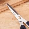Zhang Xiaoquan Multi-Functional Stainless Steel Kitchen and Pruning Scissors