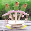 MultiPurpose Bird Activity Perch Toy Wood Rocking Stand Toy For Climbing Chewing And Engagement Play Parrots Exercie Toy