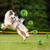 Wobble Wag Giggle Glow Bal Interactief Hond Aandacht Speelgoed Plezier Giggel Geluiden Bal Wanneer Gerold of Geschud voor Huisdier Hond Plezier