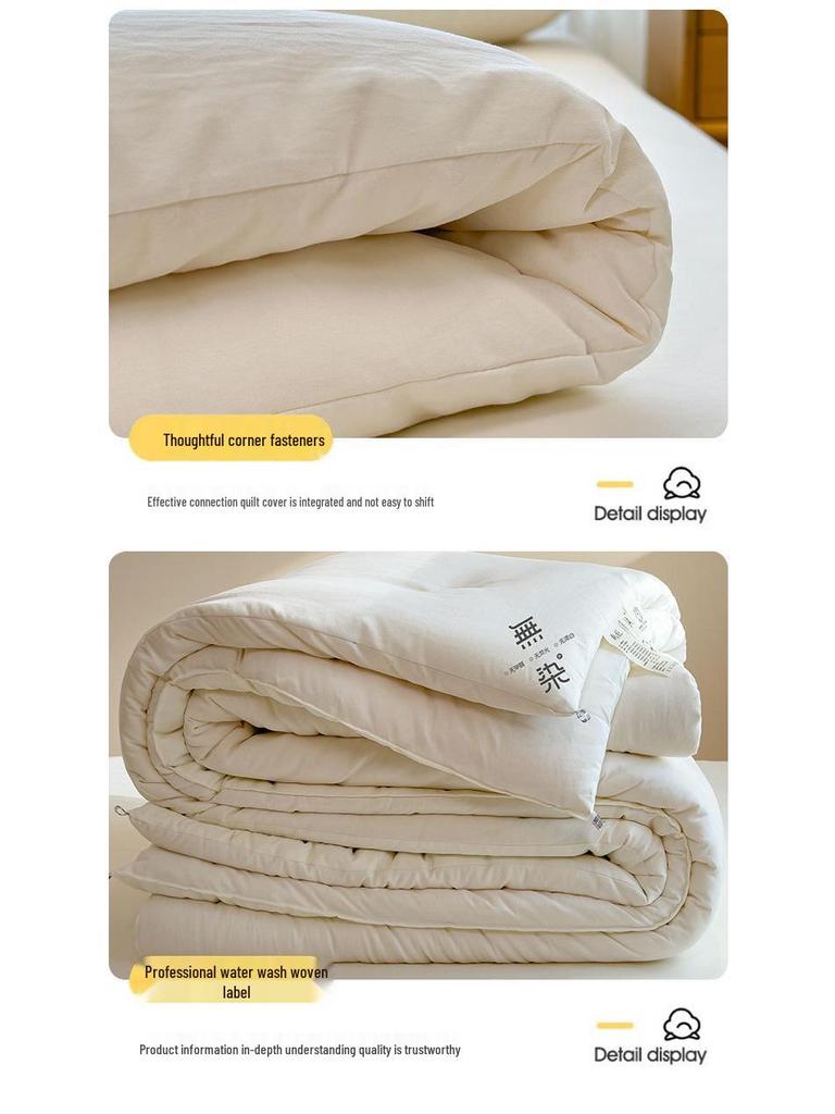 2025 Thickened Winter Cotton Quilt Comforter - Warm & Cozy Bedding for Dorms and Students, Perfect for Spring and Autumn