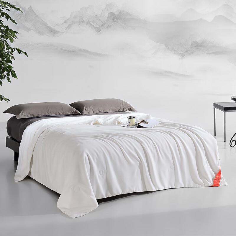 

Huaxinxi Natural Silk All-Season Quilt