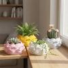 Lotus Shaped Growing Pots Plastic Nursery Pots Keys Holder Jewelry Storage Box  for Yard Garden
