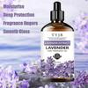 Pure Lavender Essential Oil 100ML - Hydrating Face & Body Oil for Skin Care, Hair Growth, Aromatherapy & Massage | Multi-Purpose Relaxation Oil