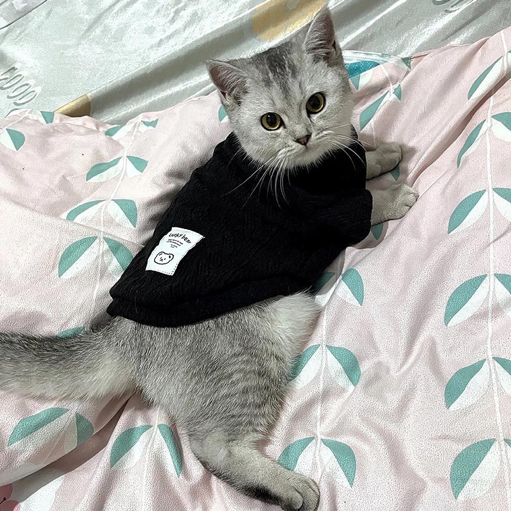 Spring Winter Sphynx Cat Clothes Warm Pet Knitting Sweater for Cats Gotas Dog Pullovers mascotas Clothing Costume katten kleding