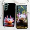 Smiling Salamander Phone Case For Samsung Galaxy S22 S25 Ultra S21 S10 Plus S26 Edge S20 S23 S24 FE Cover Silicone Soft TPU