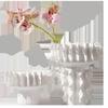 Thread Pattern Ceramic Vase Desk Decoration Flower Arrangement Flower Pots Modern Home Decor White Frosted Porcelain Floral Vase