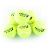 Junshi Yellow Practice & Pet Tennis Balls
