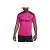 Chelsea FC Dri-Fit FW24 Vintage Crew Neck Knit Comfortable Short Sleeve Football Shirt Men Tops Pink FQ2607-659