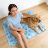 Pet Ice Mat Summer Cooling Pad For Single Use Cool Soft Ice Cushion