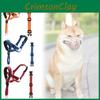 Perros – Collares y correas