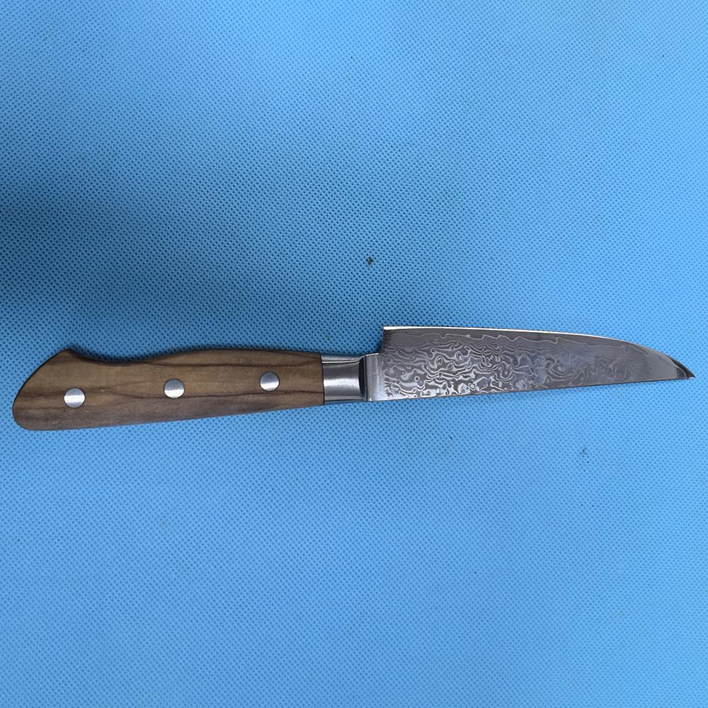 4.5 Inch Steak Knife 67-layers Damascus Steel 10Cr15Mov Blade Olive Wood Handle Cleaver Barbecue Paring Boning Kitchen Knives