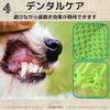 Ozgram Chameleon Dog Toy for Dogs and Plush Chew Toy with Teeth Dental Stress Relief Cats, Sounds, Brushing, Care, [Green]
