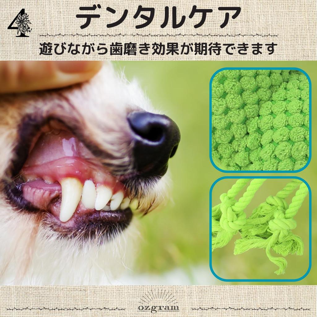Ozgram Chameleon Dog Toy for Dogs and Plush Chew Toy with Teeth Dental Stress Relief Cats, Sounds, Brushing, Care, [Green]