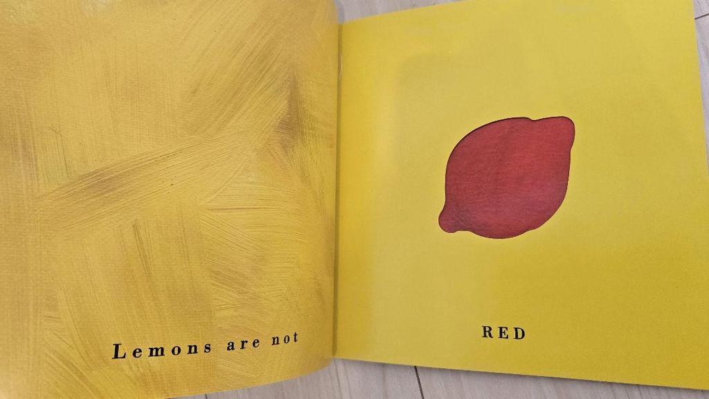 [USED] English picture book set of 2