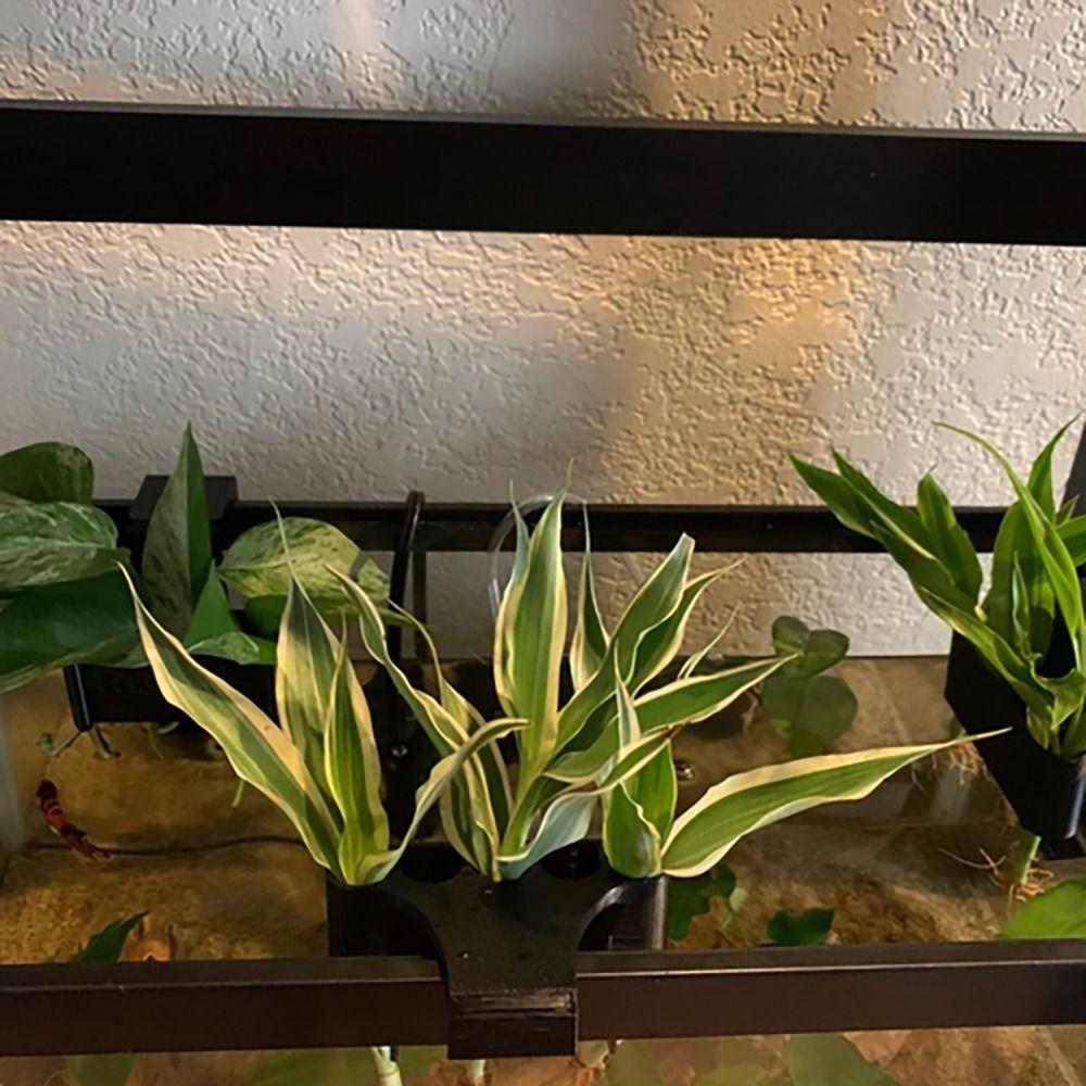 Aquarium Hydroponic Glass Pot Fish Tank Storage Rack Emerging Plant Holder Plant Cultivation Rack