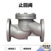 Zhuchuang Jingpin Brass Check and Foot Valve