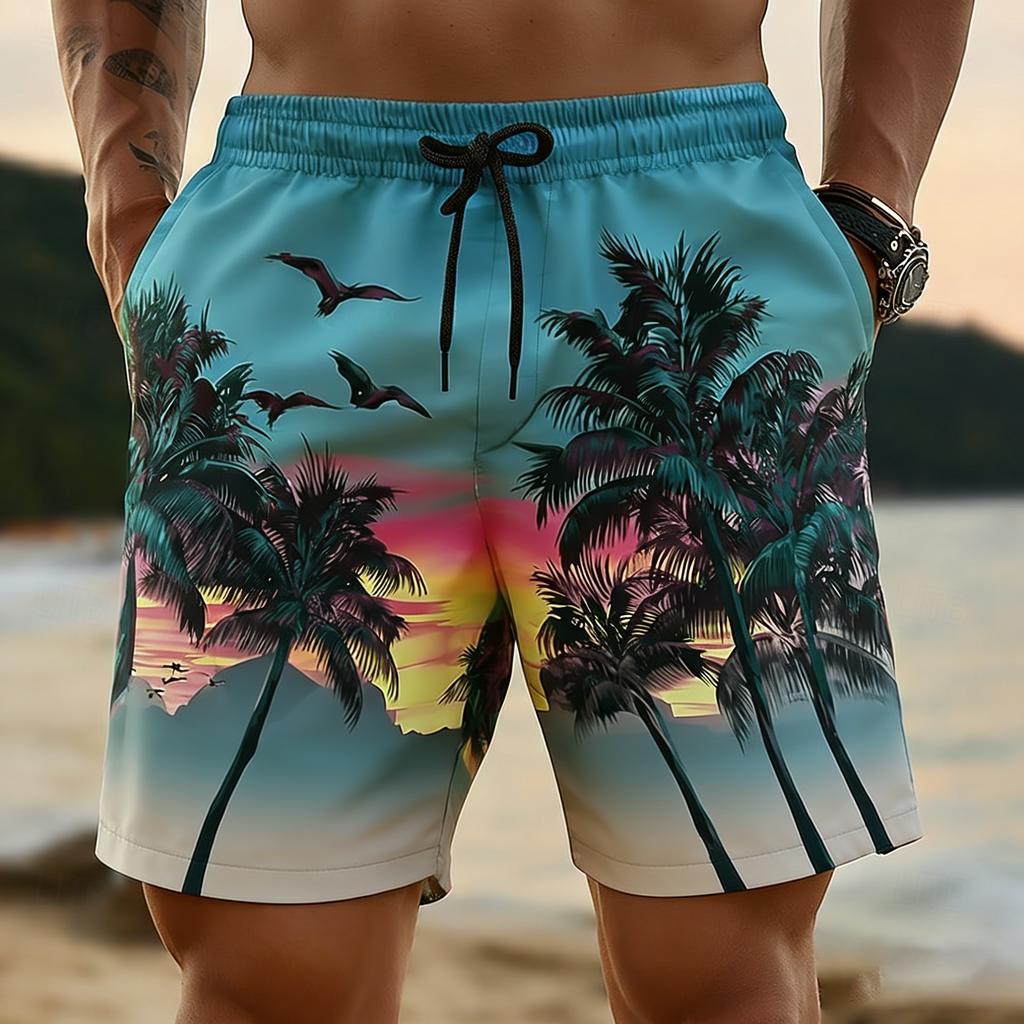 New Summer Hawaiian Men's Quick-Dry Swim Trunks, Sunset Palm Tree 3D Printed Beach Shorts, Elastic Waist Summer Surf Swimwear, C