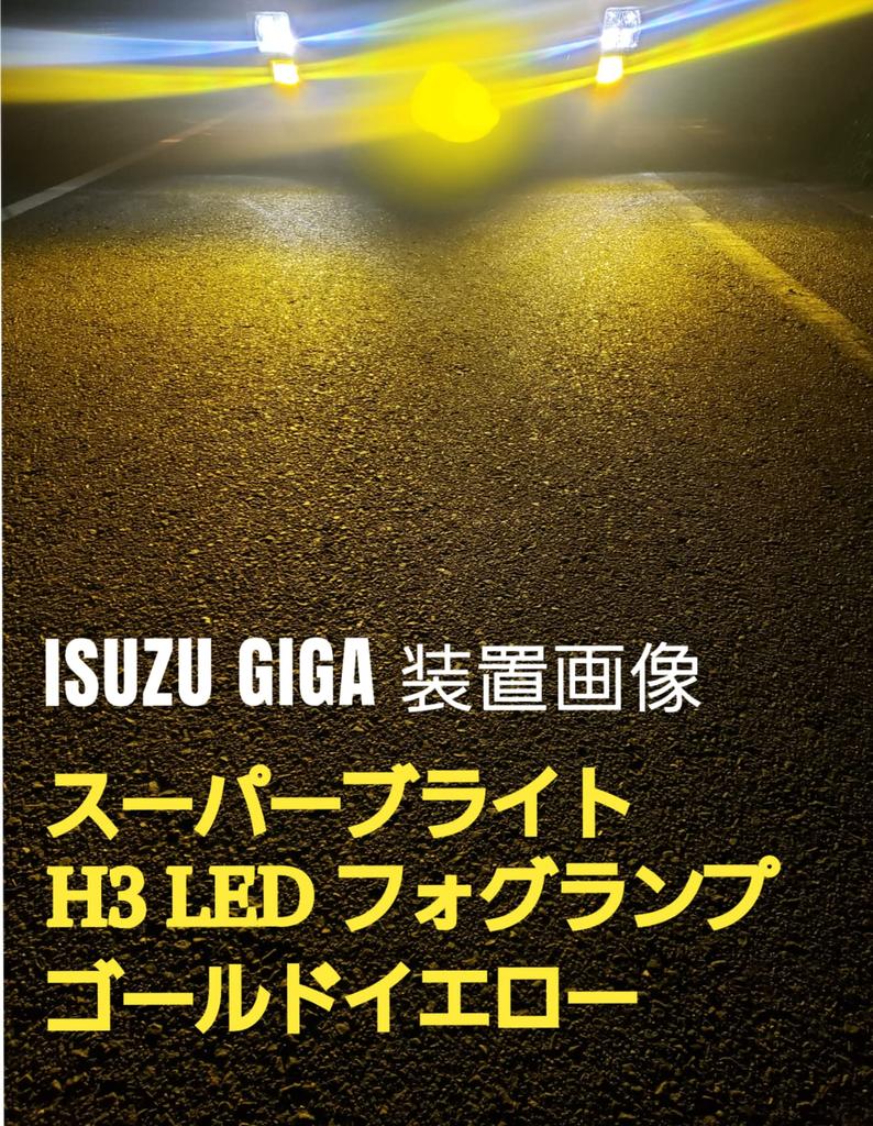 Super Bright H3 LED Fog Lamp, 12 V, 24 V, Dual Use (10 V