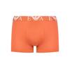 Боксеры Emporio Armani Underwear EM003793 AF19898 M5081