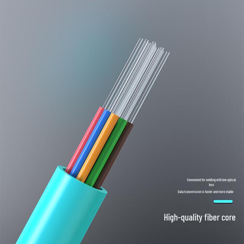 DASUNLIGHT MPO-MPO 12-Core OM3 Multimode Fiber Optic Patch Cable