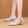 With Medium Heels Chunky Shoes for Women Woman Pumps Block Heel Pointed Toe Moccasins 2025 Trend Fashion Popular On Promotion 39