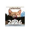 2026 Abstract Magical Cat Wall Calendar