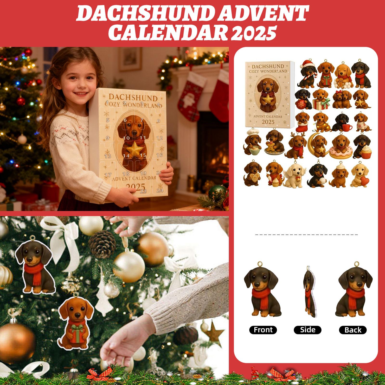 

2D Plane+airplane Box +24PC+ Fitness Decoration Advent Christmas Countdown Box Calendar One Size