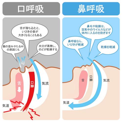 [Sleep Expert Supervised] Anti-Snoring Aid, Magnetic Nose Band, Nasal Dilator, Magnetic Nose Clip, Nasal Congestion Relief, Nasal Dilator, Magnetic Na
