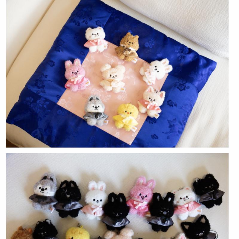 (FÖRBOKA) Stray Kids SKZOO SECRET PLUSH MICRO Ver. - KÖR IGÅNG