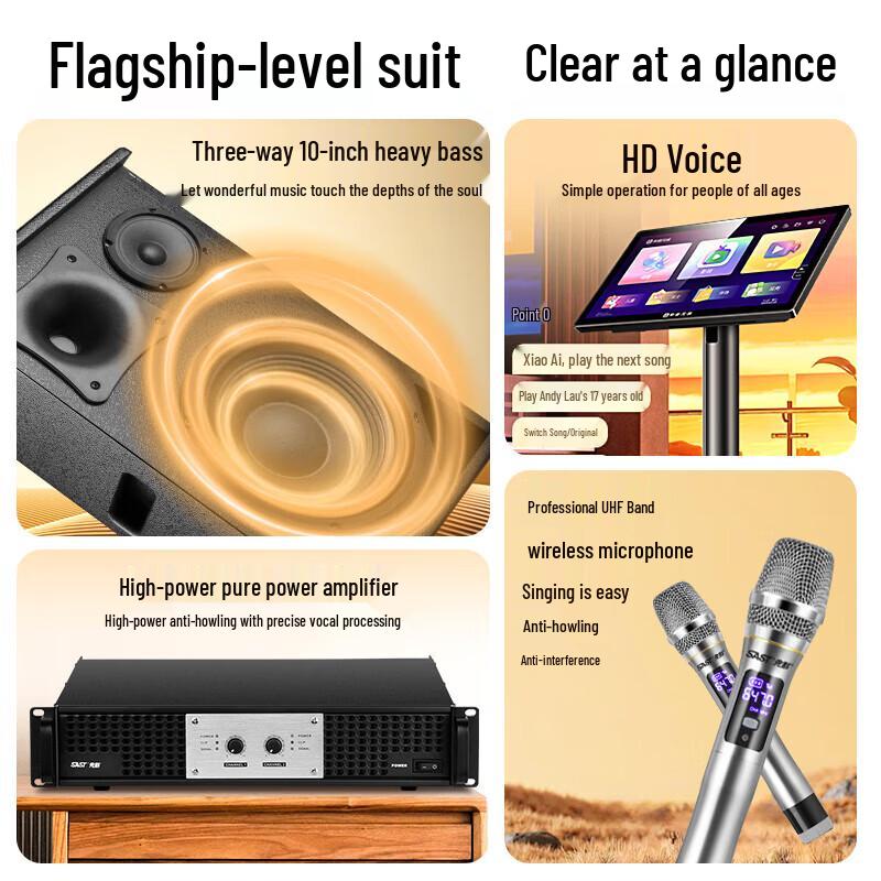 SAST Professional Home KTV Karaoke System CN Plug (adapter Included) (CN Version)