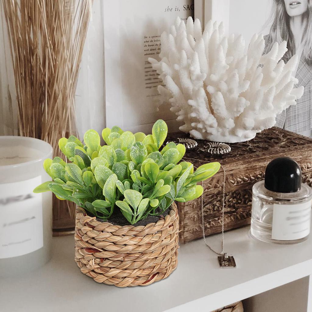 Green Artificial Plants Eucalyptus Grass Woven Small Potted Plants Grass Mound 11cm PE Material Home Decoration