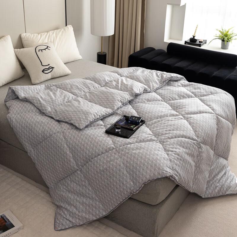 

QI LU European Style Warm Fiber Quilt