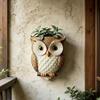 Resin Owl Hanging Wall Pot With Textured Finish and Back Hook Slot, Flower Holder for Small Plant, Balcony Wall, Entryway, and Indoor Display